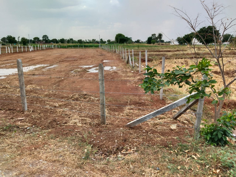 Agriculture land at Shadnagar pure Residential zone