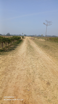 Property for sale in Jangal Kauria, Gorakhpur