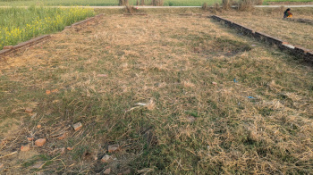 Property for sale in Sukrauli, Kushinagar
