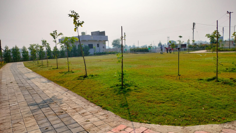 1000 Sq.ft. Residential Plot for Sale in Zari, Nagpur