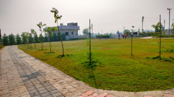1200 Sq.ft. Residential Plot for Sale in Zari, Nagpur