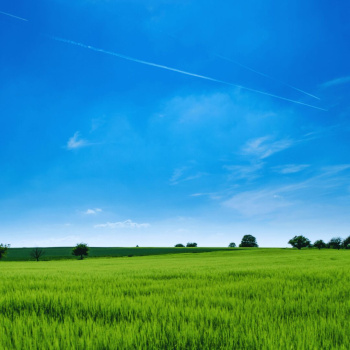Property for sale in Mohgaon, Nagpur