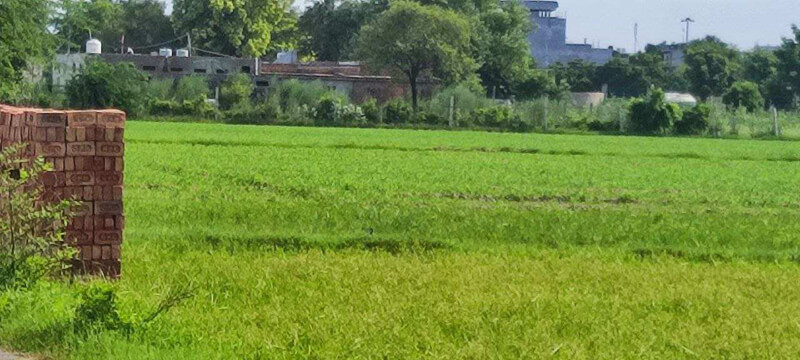 100 Sq. Yards Residential Plot for Sale in Mitraon, Najafgarh, Delhi