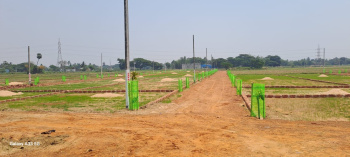 1500 Sq.ft. Residential Plot for Sale in Ranga Bazar, Bhubaneswar