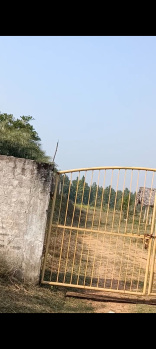 115 Guntha Agricultural/Farm Land for Sale in Handapa, Angul