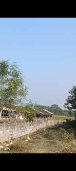 Property for sale in Handapa, Angul