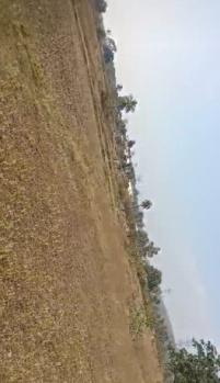 Property for sale in Chhendipada, Angul