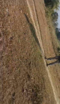 Property for sale in Chhendipada, Angul