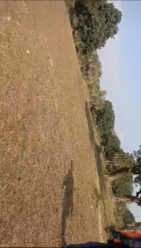 Property for sale in Jarasingha, Angul