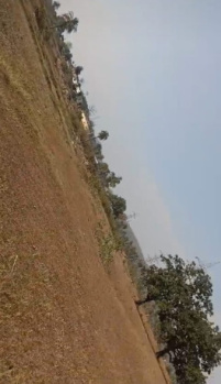 Property for sale in Chhendipada, Angul