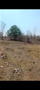 Property for sale in Banarpal, Angul