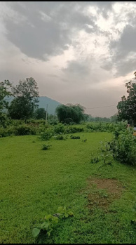 Industrial Land / Plot for Sale in Handapa, Angul (5 Acre)