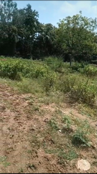 Property for sale in Bazarapada, Angul