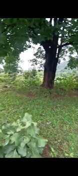 Industrial Land / Plot for Sale in Handapa, Angul (12 Acre)