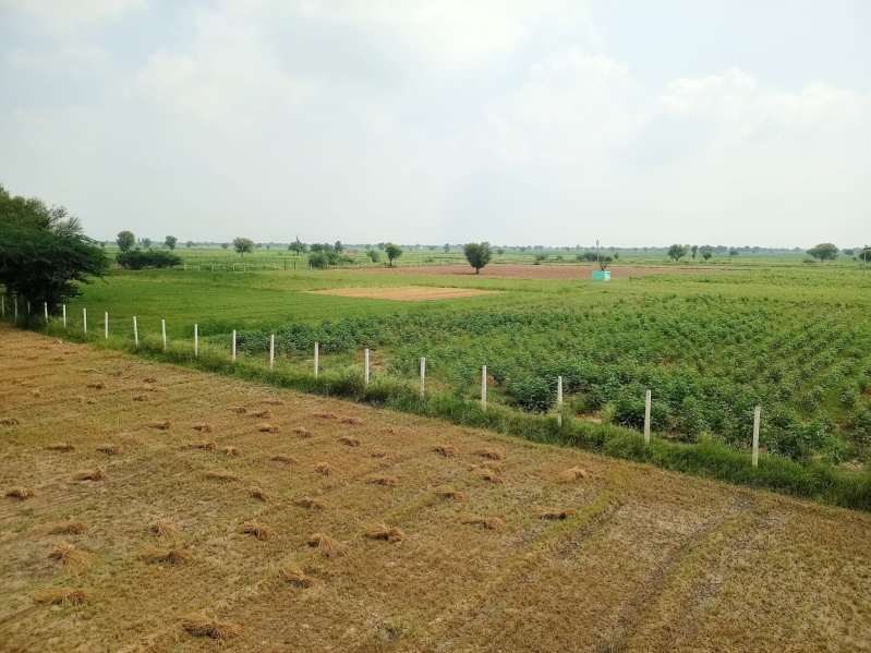 22 Bigha Agricultural/Farm Land for Sale in Burja, Alwar