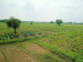 40 Bigha Agricultural/Farm Land For Sale In Delhi Bypass Road, Alwar