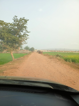 105 Bigha Agricultural/Farm Land for Sale in Naugaon, Alwar