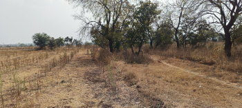 605 Sq. Yards Agricultural/Farm Land For Sale In Narayankhed, Sangareddy