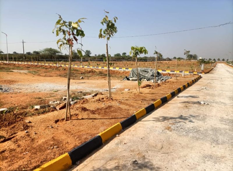 160 Sq. Yards Residential Plot for Sale in Rudraram, Hyderabad