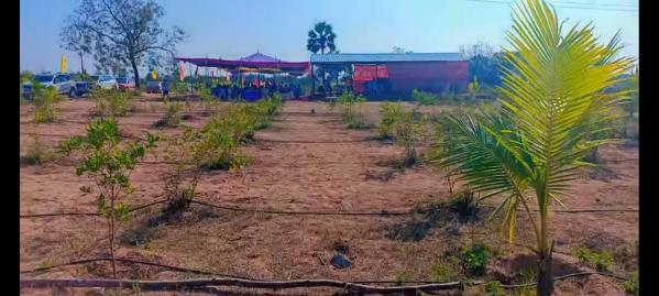 121 Sq. Yards Agricultural/Farm Land for Sale in Narayankhed, Sangareddy