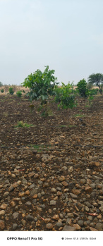 Property for sale in Narayankhed, Sangareddy