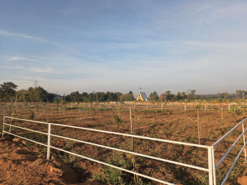 Property for sale in Karimnagar, Siddipet