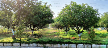 Property for sale in Karimnagar, Siddipet