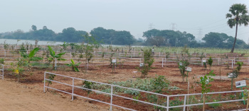 Property for sale in Ghanpur, Jangaon