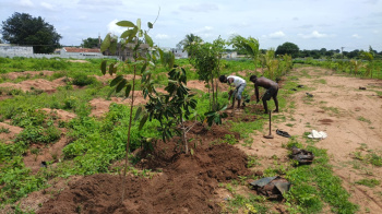 Property for sale in Shadnagar, Hyderabad