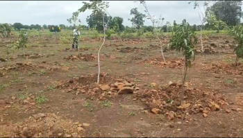 Property for sale in Narayankhed, Sangareddy