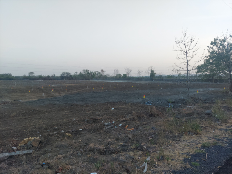 1724 Sq.ft. Residential Plot for Sale in Mihan, Nagpur