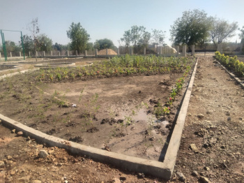 Residential Plot for Sale in Wakeshwar, Nagpur (1700 Sq.ft.)
