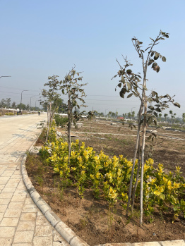 Residential Plot for Sale in Samruddhi Nagpur, Nagpur (2001 Sq.ft.)