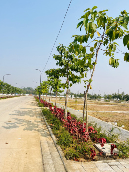 Nagpur Godrej Forest Luxurious plots