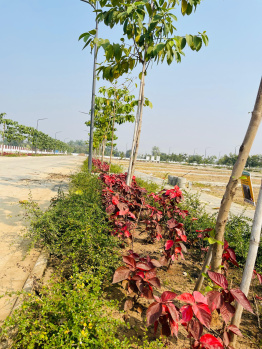 Residential Plot for Sale in Samruddhi Nagpur, Nagpur (2105 Sq.ft.)