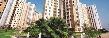 3 BHK Flats & Apartments for Sale in Sector Pi, Greater Noida (161 Sq. Meter)