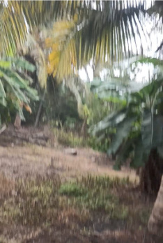 Agricultural/Farm Land for Sale in Pollachi, Coimbatore (2 Acre)