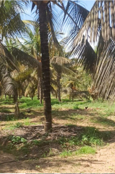 Property for sale in Athipalayam, Coimbatore