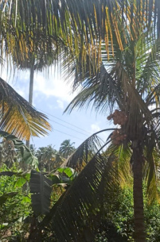 Property for sale in Athipalayam, Coimbatore