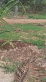 Agricultural/Farm Land for Sale in Pollachi, Coimbatore (7 Acre)
