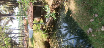 Agricultural/Farm Land for Sale in Pollachi, Coimbatore (125 Cent)