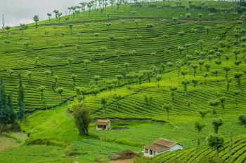 Property for sale in Valparai, Coimbatore
