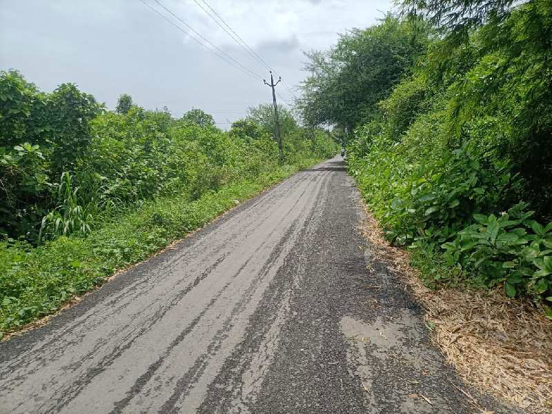 Agricultural Land In Ambheta, Gujarat