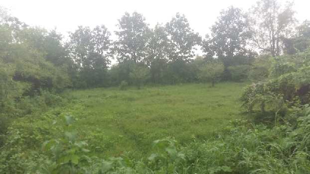 Commercial & Residential Land Available For Sale In Valsad, Gujarat