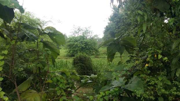 Property for sale in Pardi, Valsad