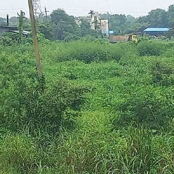 Property for sale in Umbergaon, Valsad