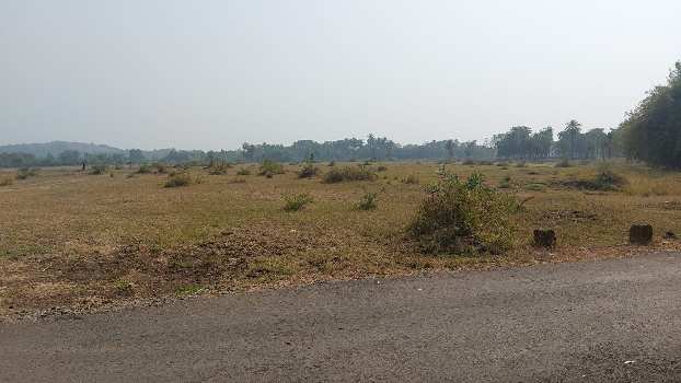 Industrial Land Available For Sale in Juni Surat, Gujarat