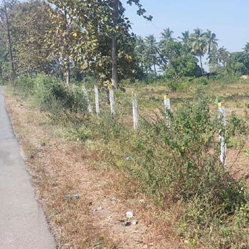 Property for sale in Sanjan, Valsad