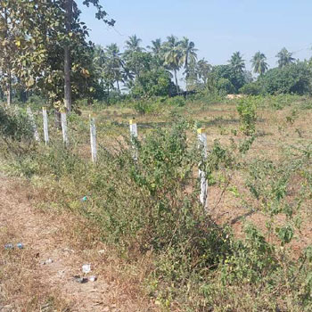 Industrial Land Available For Sale in Sanjan, Valsad, Gujarat