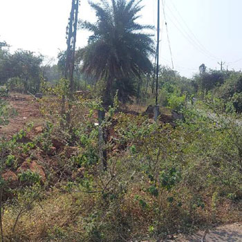 Industrial Land Available For Sale in Umbergaon, Valsad, Gujarat